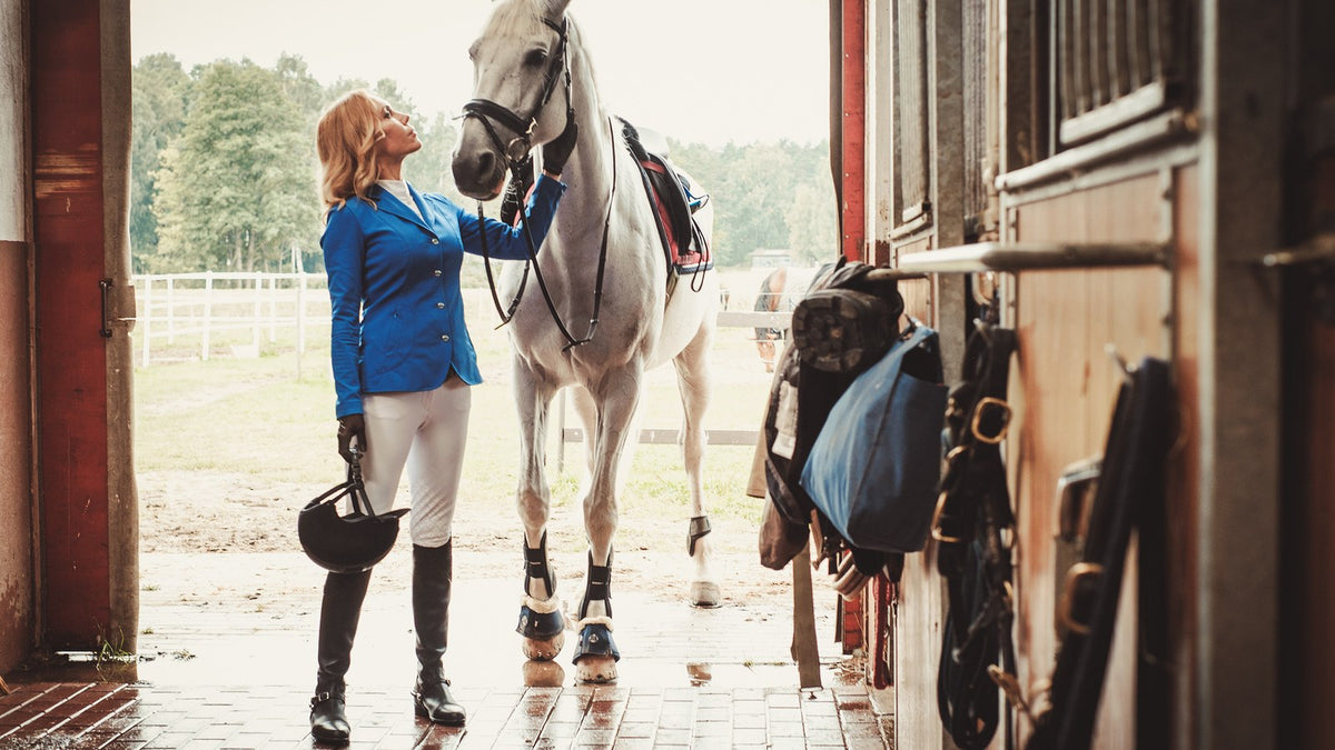 Equestrian Marketing: Reaching Owners, Riders, and Buyers Online